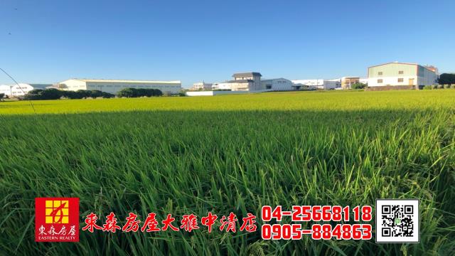 大雅農地-0