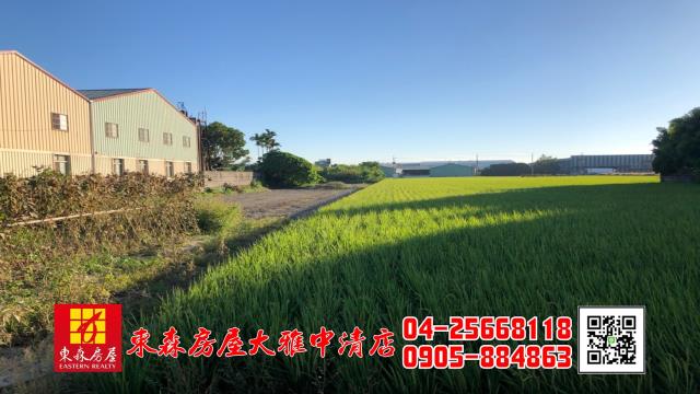 大雅農地-1