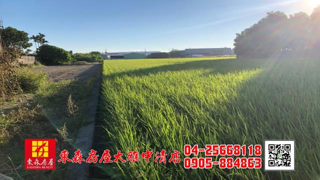大雅農地-2