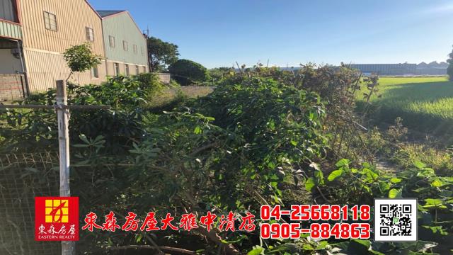 大雅農地-3