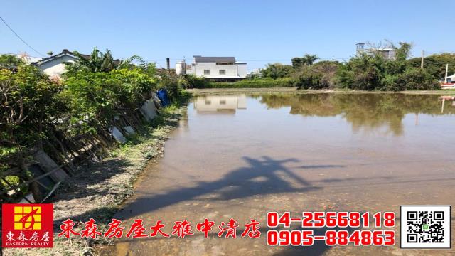 大雅農地-0