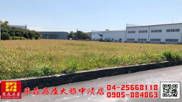 大雅農地-1
