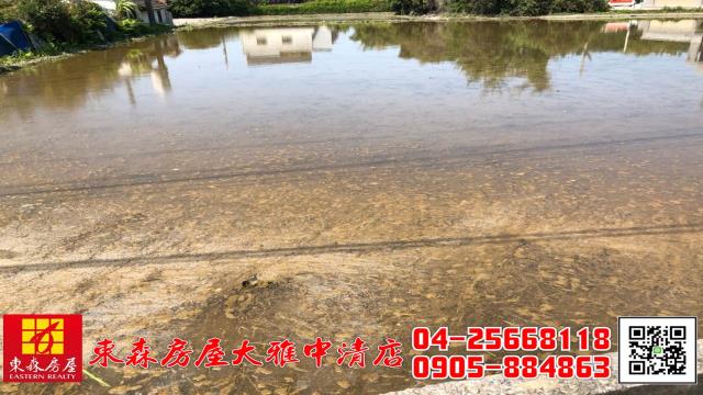 大雅農地-2