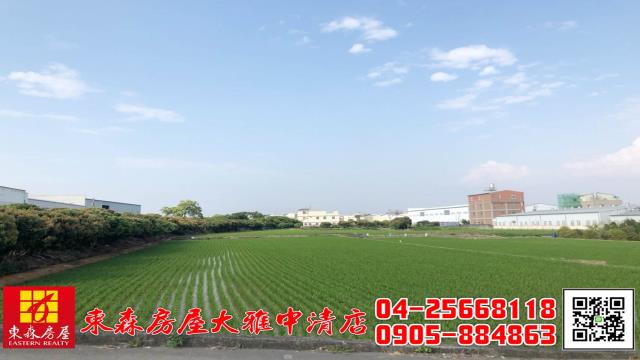 大雅農地-1