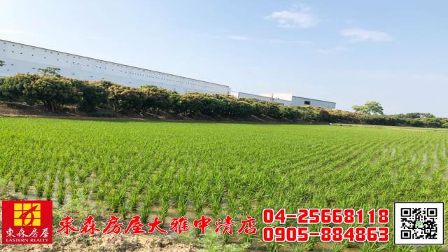 大雅農地-2