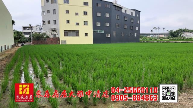 台中農地-2