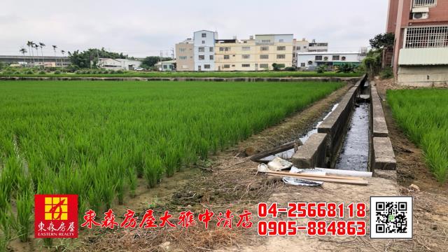 台中農地-3