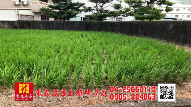 台中農地-4