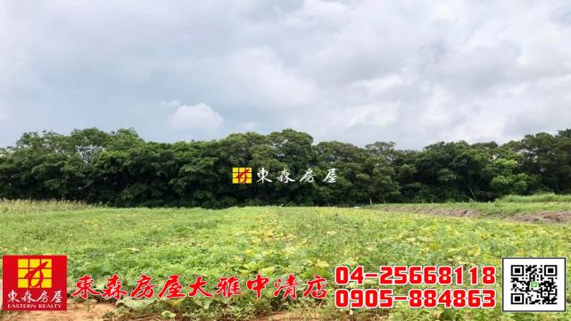 大雅農地-0
