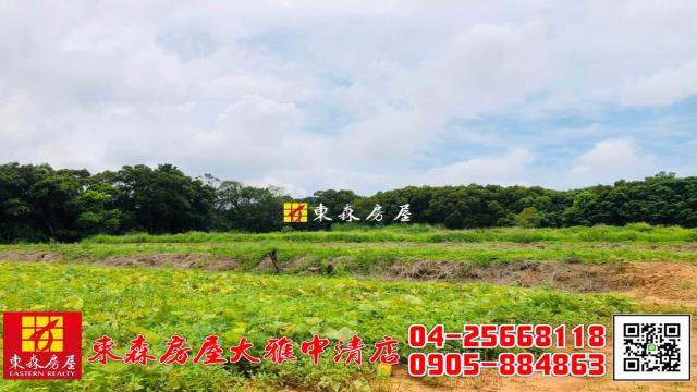 大雅農地-1