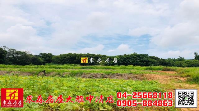 大雅農地-3