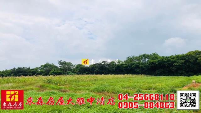 大雅農地-4