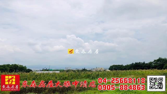 大雅農地-5