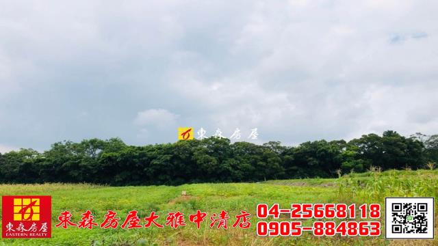 大雅農地-6