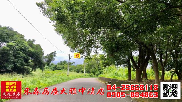 大雅農地-8