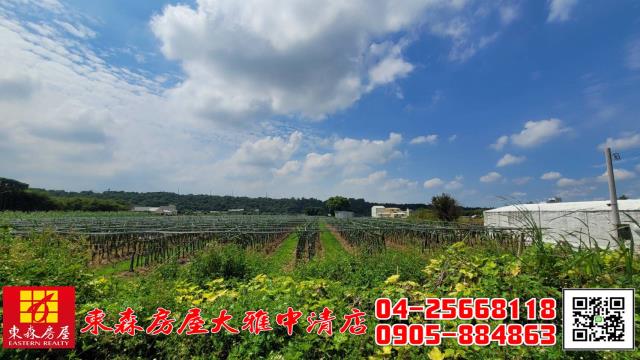 外埔農地-2