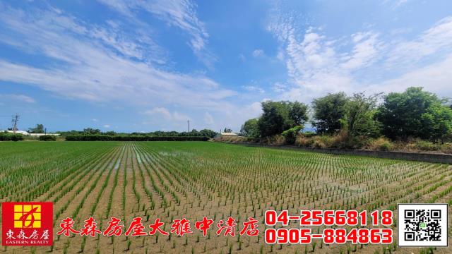 外埔農地-3