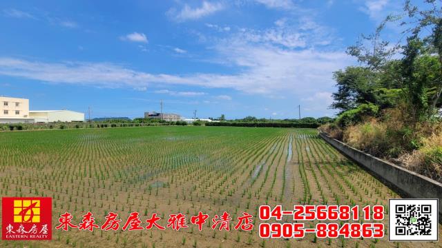 外埔農地-4