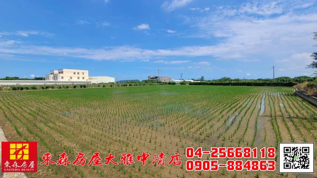 外埔農地-5