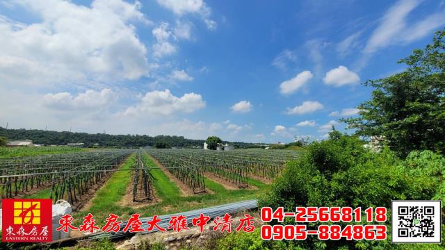 外埔農地-7