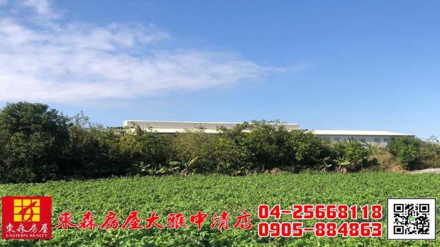 台中農地-10