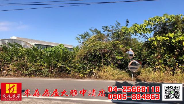 台中農地-3