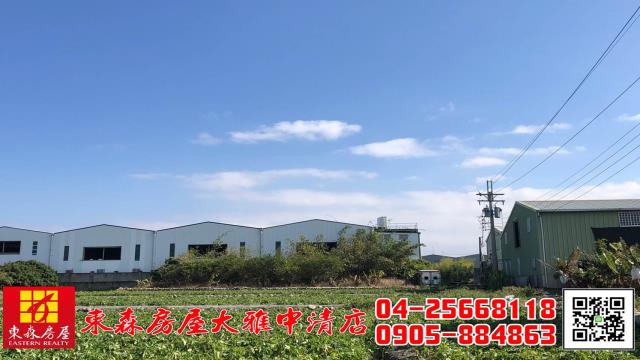 台中農地-4