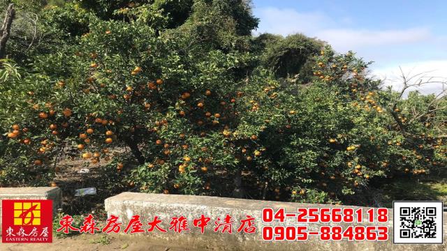 台中東勢農地-0