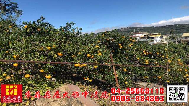 台中東勢農地-1