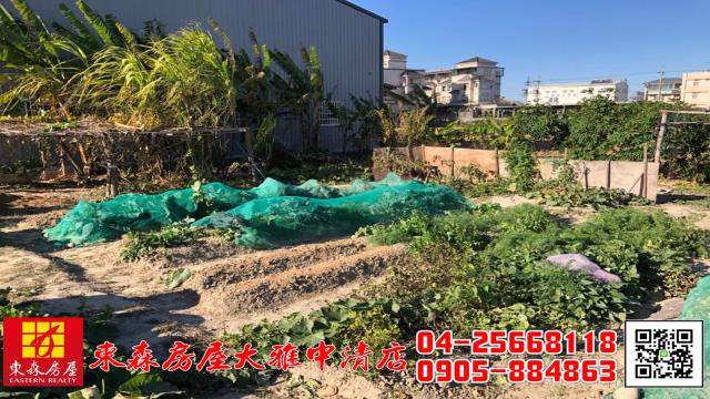 台中大雅農地-3
