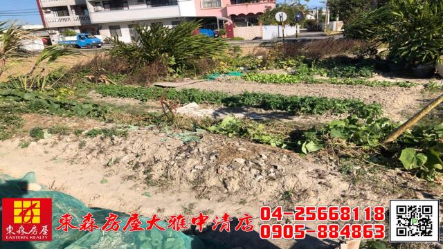 台中大雅農地-4