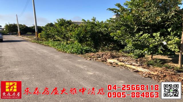 台中大雅農地-6