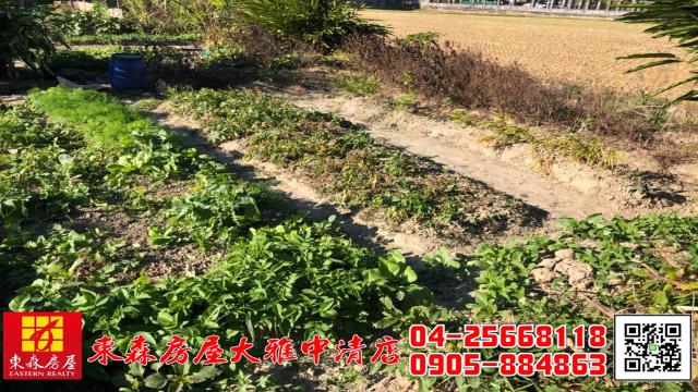 台中大雅農地-8