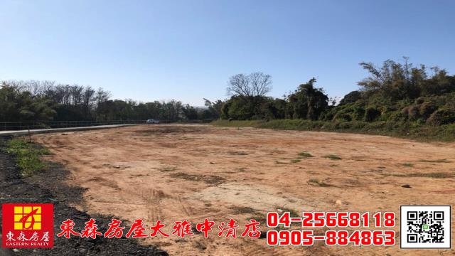 台中大雅農地-4