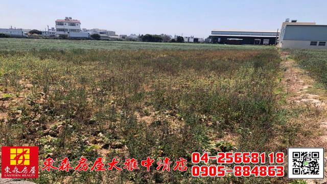 台中大雅農地-0
