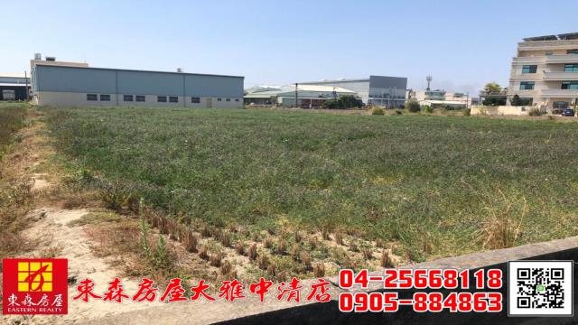 台中大雅農地-1