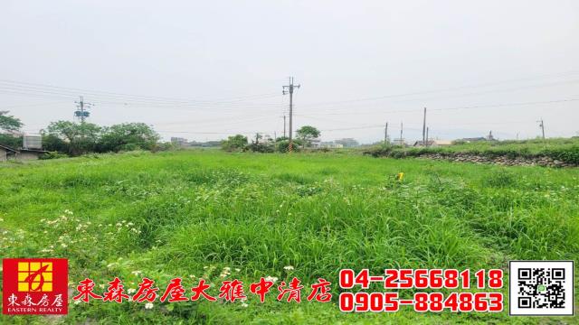 台中外埔農地-1