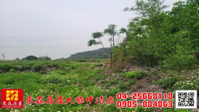 台中外埔農地-2