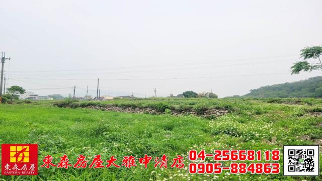 台中外埔農地-3