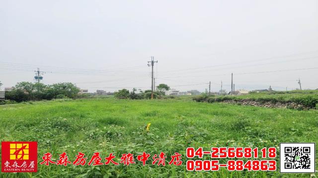 台中外埔農地-4