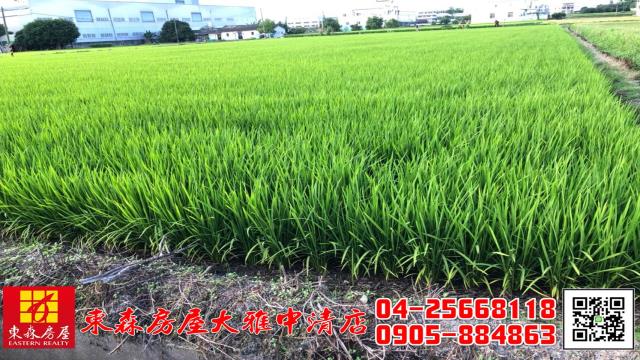 大雅農地-0