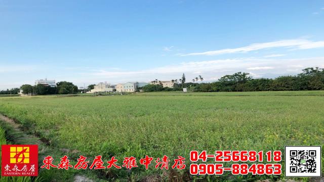 大雅農地-2