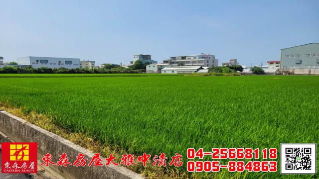 大雅農地-2