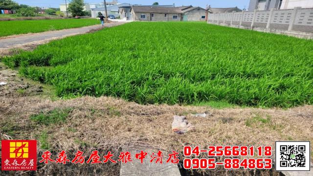 大雅農地-5