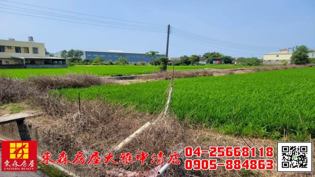 大雅農地-7