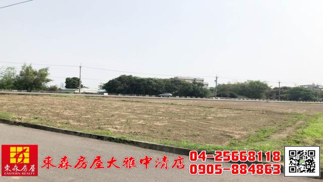 台中大雅農地-7