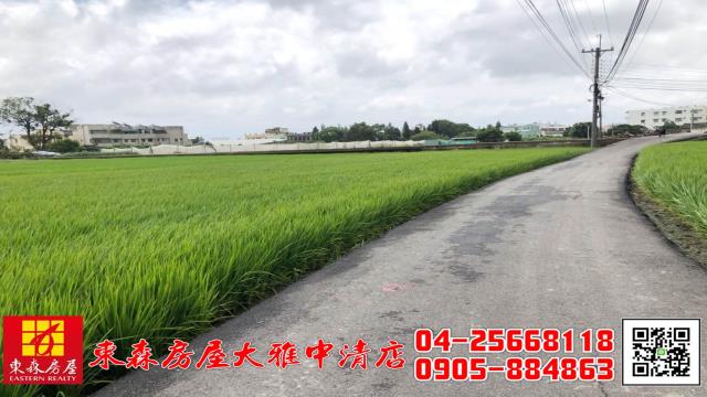 西屯農地-0