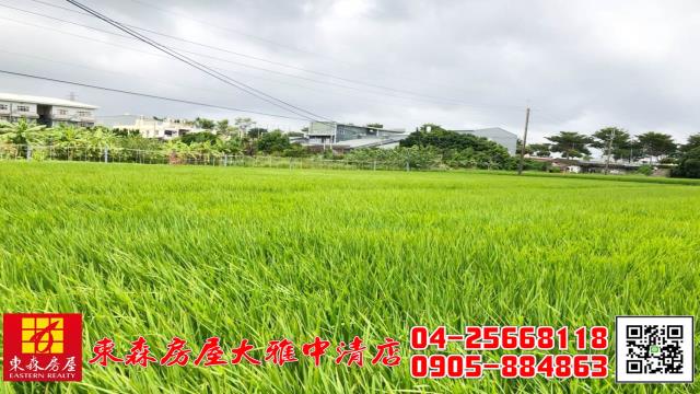 西屯農地-1
