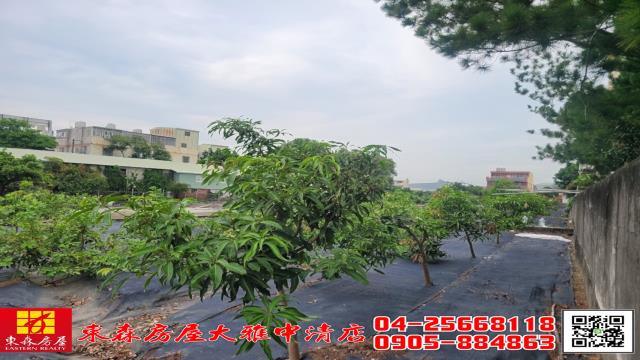 台中大雅農地-3