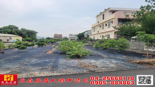 台中大雅農地-5
